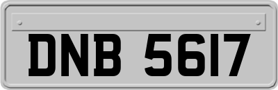 DNB5617