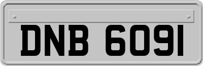 DNB6091