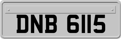 DNB6115