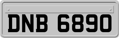 DNB6890