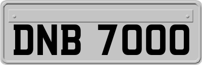 DNB7000