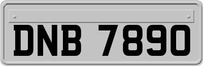 DNB7890