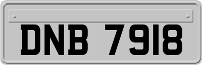 DNB7918