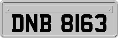 DNB8163