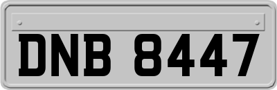 DNB8447