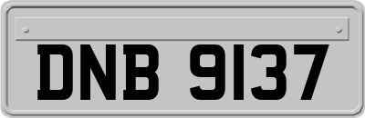 DNB9137