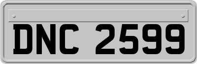 DNC2599
