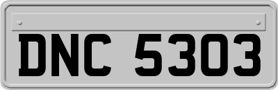 DNC5303