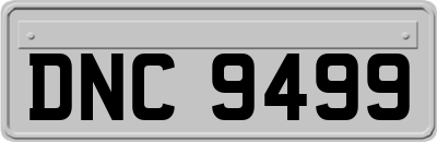 DNC9499