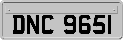 DNC9651