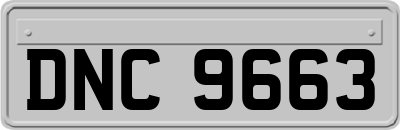 DNC9663