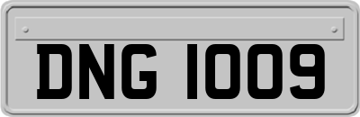 DNG1009