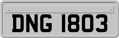 DNG1803