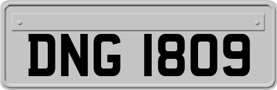 DNG1809