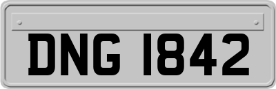 DNG1842