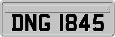 DNG1845