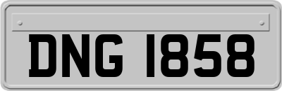 DNG1858