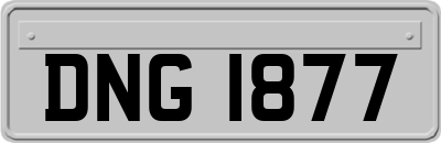 DNG1877