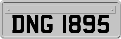 DNG1895