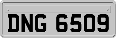 DNG6509