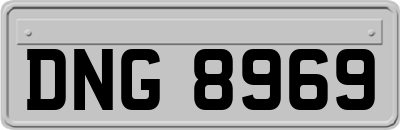 DNG8969