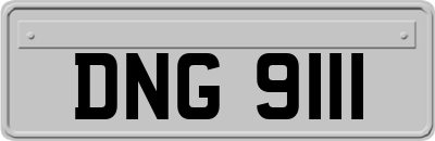 DNG9111