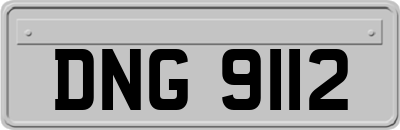 DNG9112