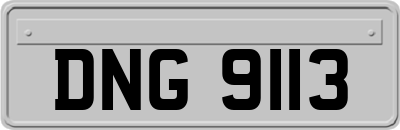 DNG9113