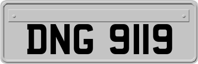 DNG9119