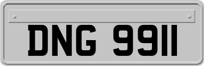 DNG9911