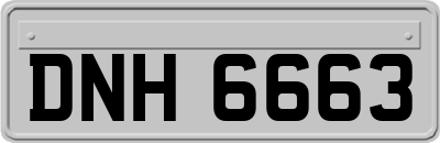 DNH6663