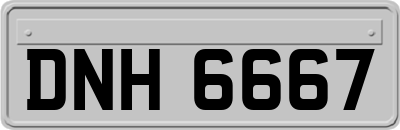 DNH6667