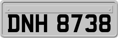 DNH8738