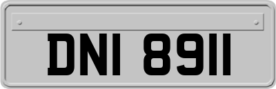 DNI8911