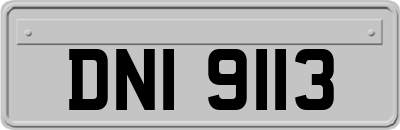 DNI9113