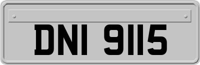 DNI9115