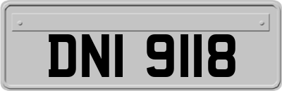 DNI9118