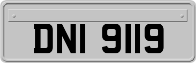 DNI9119
