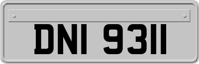 DNI9311