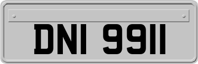 DNI9911