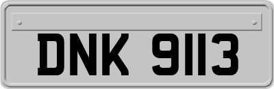 DNK9113