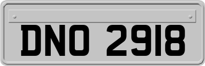 DNO2918