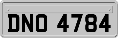 DNO4784