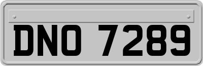 DNO7289