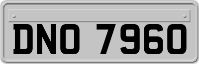 DNO7960