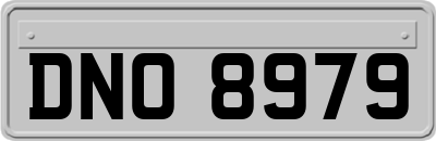 DNO8979