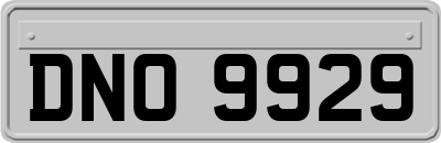 DNO9929