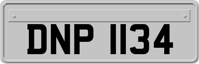 DNP1134