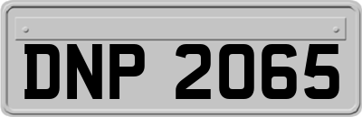 DNP2065