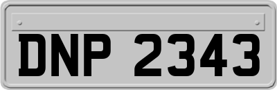 DNP2343